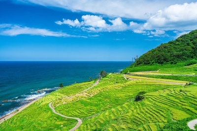 JbXiBTD0q7PzuodauyCU.jpg?w=940&h=940