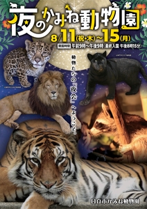 Jblao1u5dpozLyTmKLsS.jpg?w=940&h=940