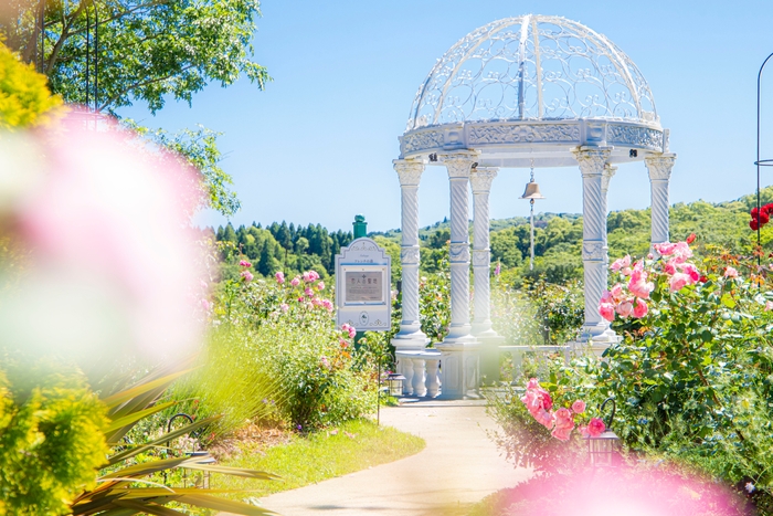 ▲当施設内のガーデンに囲まれた“恋人の聖地”でカジュアルフォトウェディング