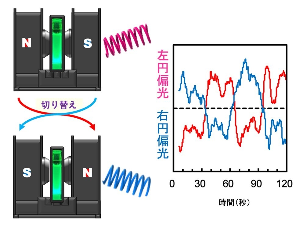 電磁石を用いた簡易的な方法で円偏光の回転方向の高速切替に成功　円偏光発光の高性能化の新たな道筋を開拓
