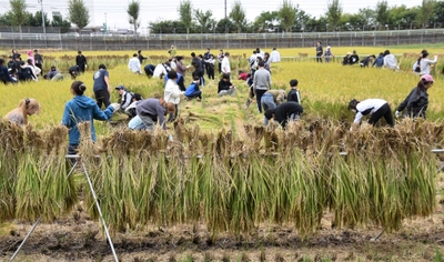 約200人が参加した収穫祭