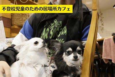 JcAJiAJB8i6tNuaWaYM4.png?w=940&h=940