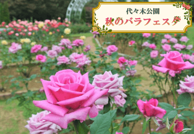 Jd5y2ZnM0w5ryszfCROt.png?w=940&h=940