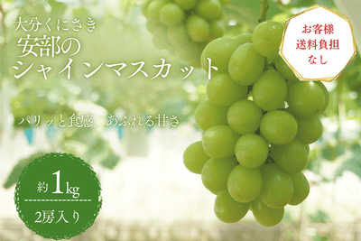 シャインマスカット（約１ｋｇ）