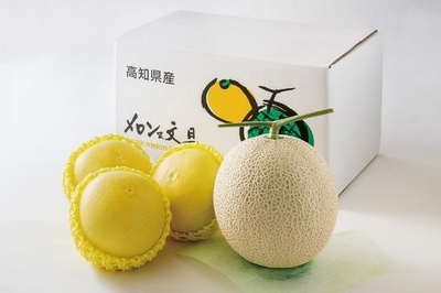 JdRGnlhc7jfbj05JYuAN.jpg?w=940&h=940