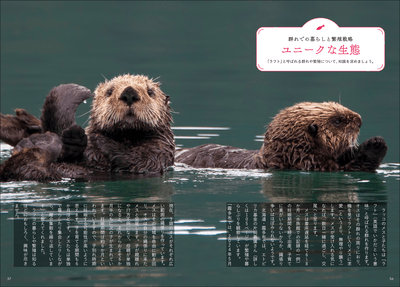 Jdqi7E9UW0CXVVEueUjV.png?w=940&h=940