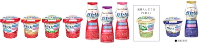 内臓脂肪・腸内環境2つの機能を持った唯一のヨーグルト 「恵 megumi ガセリ菌SP株ヨーグルト」シリーズリニューアル 「プレーン加糖」、「ドリンクタイプ いちご」新発売