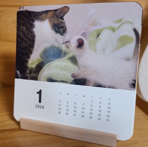 JgfFyF83aGMeSAbbi23c.jpeg?w=940&h=940