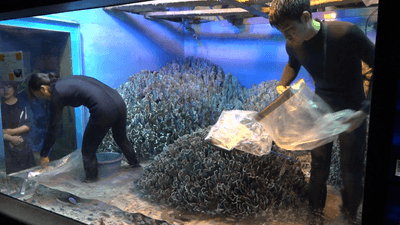 Jh5sB0f4oEMBKjxHvwmF.png?w=940&h=940