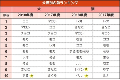 ペットの名前ランキング2019（総合）