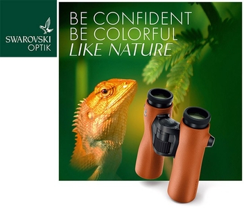 JiMsKxrBG2d6g0gT5pZZ.jpg?w=940&h=940