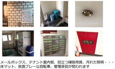 JjE6gWPCYdlArMKQisQj.jpg?w=940&h=940