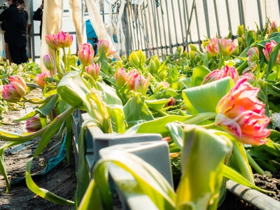 Jjayk5psLvhhasG42vJl.jpg?w=940&h=940