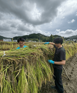 JjbzSqoqg8OZgYJDkeyM.png?w=940&h=940