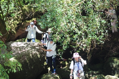 自然と向き合う時間
