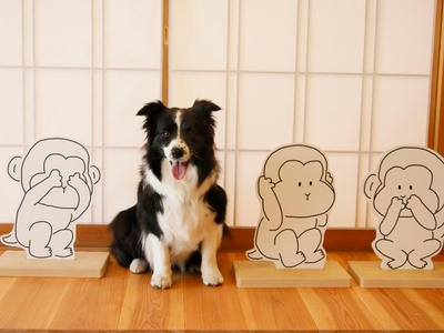 フォトスタジオ