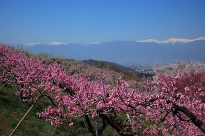 JnVCGQSLaPddCfbjYzgQ.jpeg?w=940&h=940