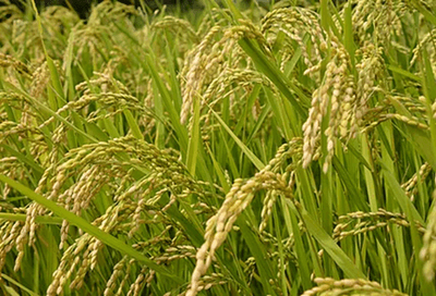 JoOoy32GL0mvLHzpsAzQ.png?w=940&h=940