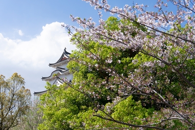 JozpaNArcy7nSIGm3bVN.jpg?w=940&h=940