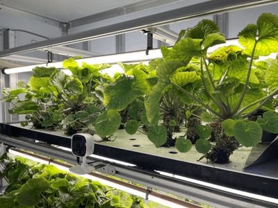 Jp0hleZeKyJpCpvjvqCg.png?w=940&h=940