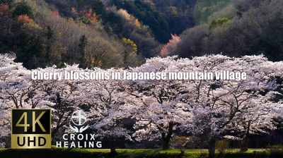 Jp9VP7n3vrM4puvVuLy2.jpg?w=940&h=940