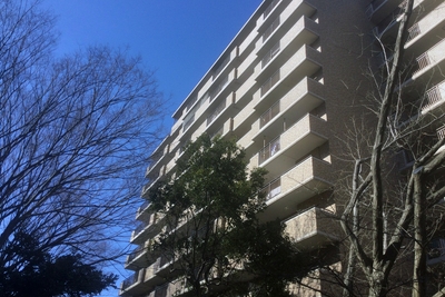 JpFXe7voDMvWyI2zvmYL.jpeg?w=940&h=940