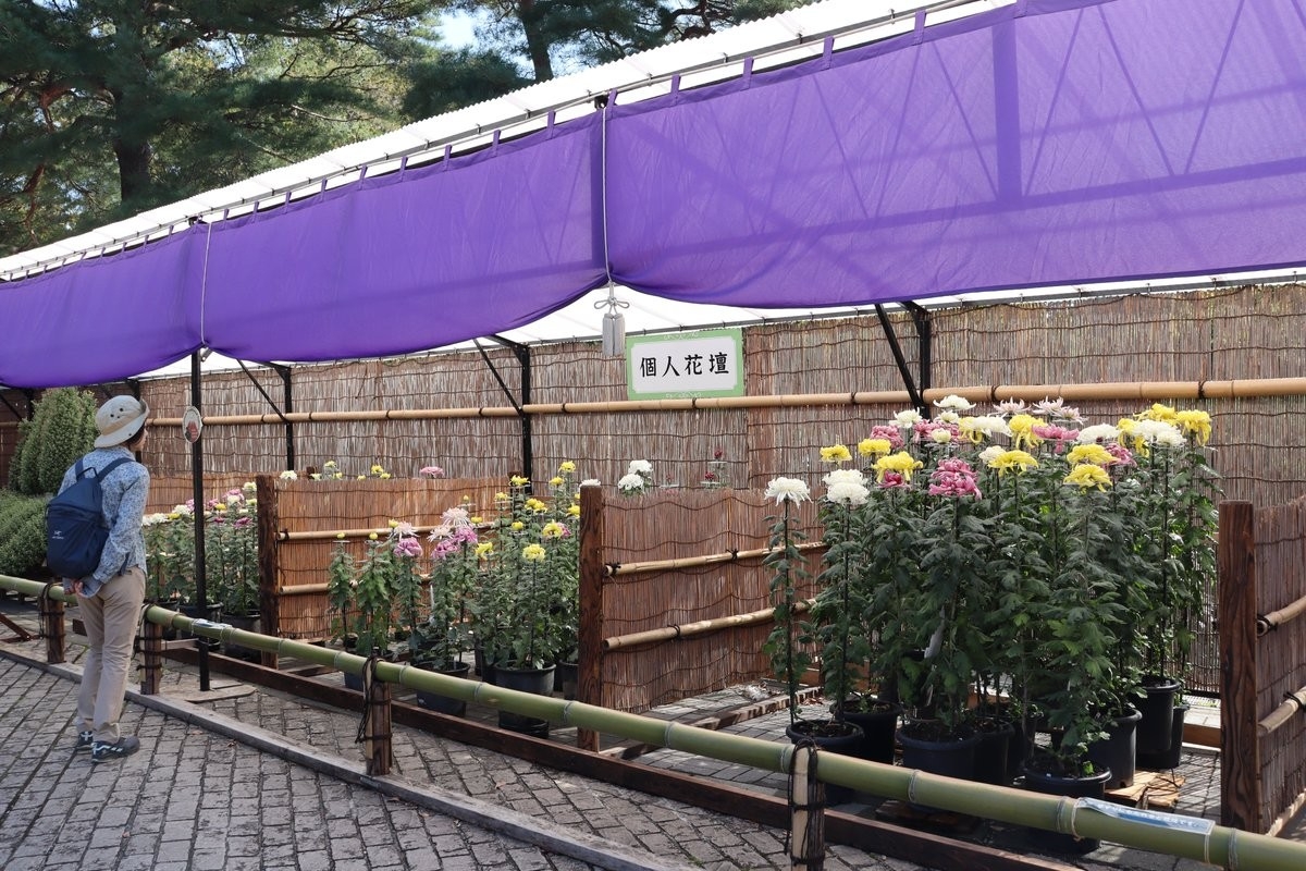 展示の様子(令和6年度撮影)