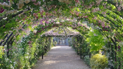 JqJrXK4HHH6mkh2eIZSm.jpg?w=940&h=940