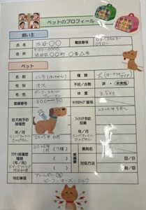 JrP2VdriyzdBem6hInIH.jpg?w=940&h=940