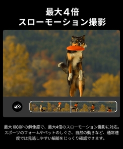 Js2AK0xKgTmlFXNwydTO.jpg?w=940&h=940