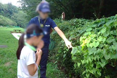 見どころを公園スタッフがご案内します