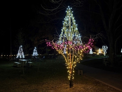 JtE0Ly4BN7C5QuWs5OIv.jpeg?w=940&h=940