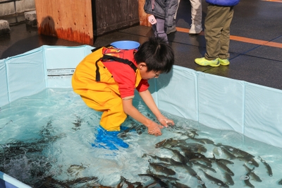 JtXlfhOMxhfz5ZPQvqHk.jpg?w=940&h=940