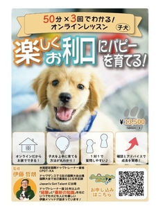 JtnPNaKIJUCLWKFTqVkt.jpg?w=940&h=940