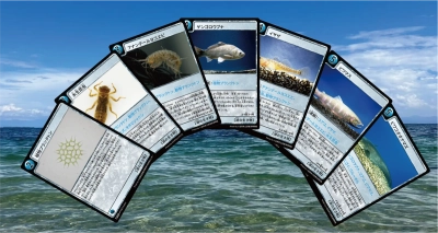 近大生制作の環境学習用カードゲームで琵琶湖の自然を楽しく学ぶ大学生が先生役となり小学生に環境学習の機会を提供