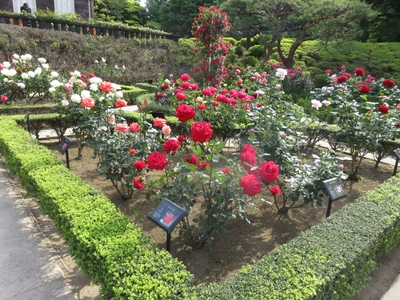 Juz1csEY57EBhTQZbpia.jpg?w=940&h=940