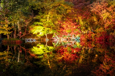 Jv1KAvJSxgXB2y5scfxX.jpg?w=940&h=940