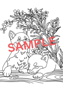 JwCIUgxNYPTEr4N3HVPS.jpg?w=940&h=940