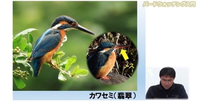 Jwgoqo1hXEPcuUoa6xsZ.jpg?w=940&h=940