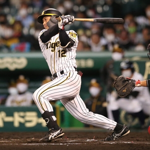 阪神・坂本誠志郎捕手