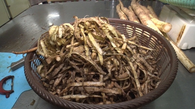 JzezesOXqmvZdt5N5RXD.jpg?w=940&h=940