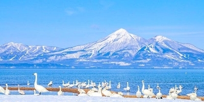 K1RDamy35119EXF5DR3X.jpg?w=940&h=940