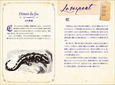 K2veFAv2ptanr25rhvB5.png?w=940&h=940