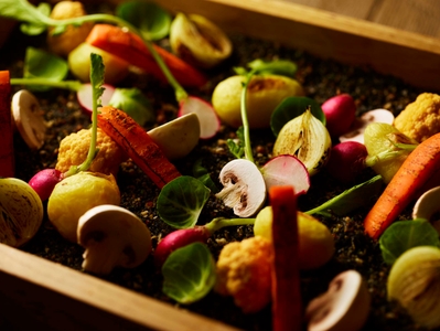 K3L5188aTDZnS1u9ZYee.jpg?w=940&h=940