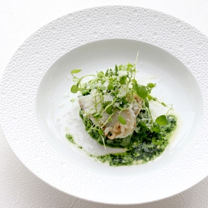 トラフグと春野菜リゾット