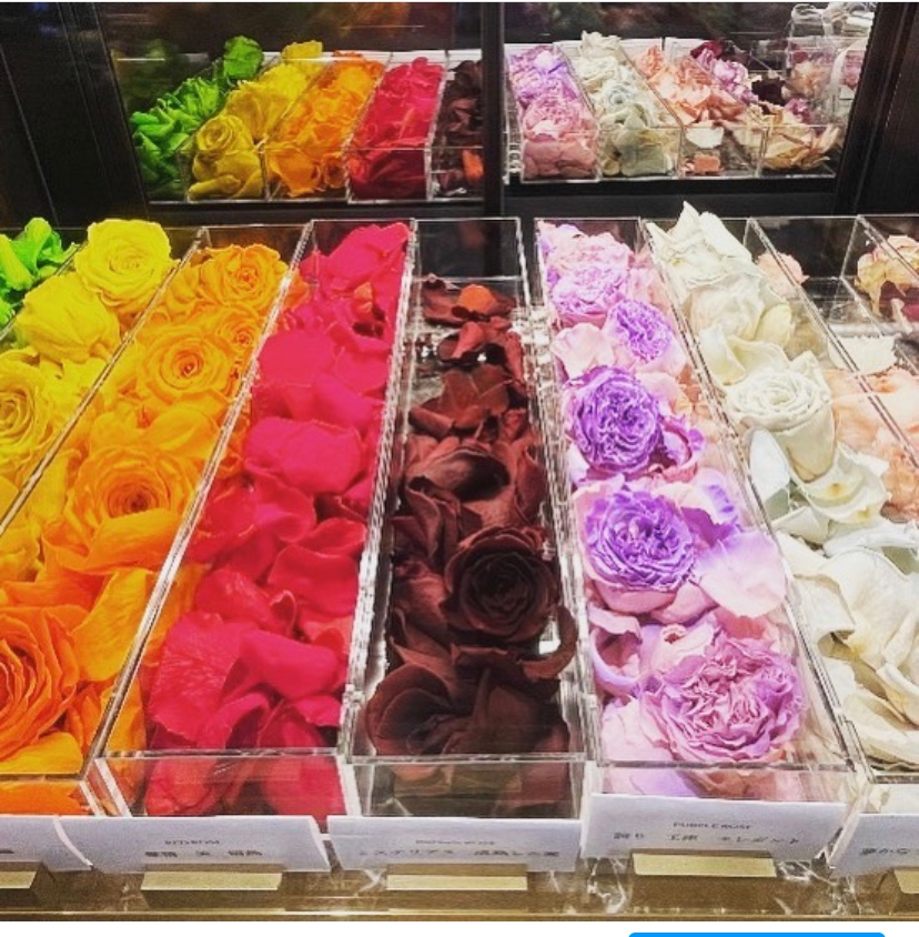 ❛バラを1本も無駄にしない❜をテーマとしたアップサイクル商品「re:ROSE」