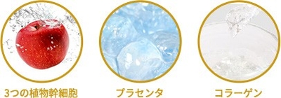 K5qk4RD0e0zbZ8syutgr.jpg?w=940&h=940