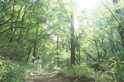 K6vfMLC0ppTVYn1YcSBx.jpg?w=940&h=940