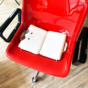 K7j3iV1DqULJaoKr3FOW.jpg?w=940&h=940