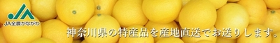 K7kFlgvoTpCaZyZ5wbDj.jpg?w=940&h=940